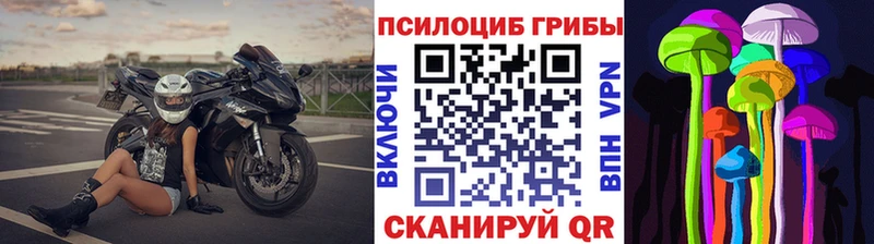 Галлюциногенные грибы Cubensis  Славск 